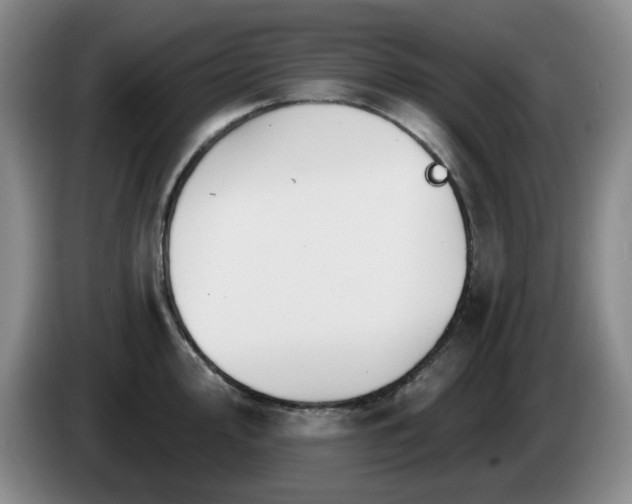 X0000085221000200703091156