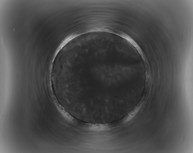 X0000085221002200703091156