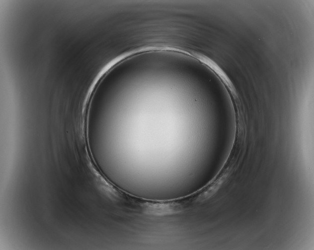 X0000085221004200703091156