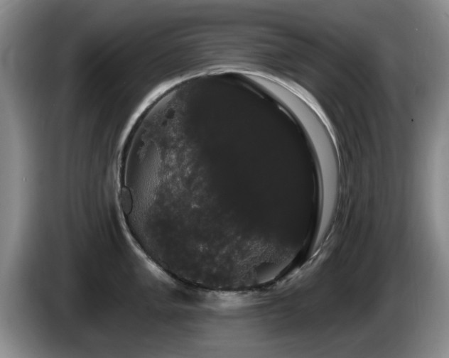 X0000085221005200703091156