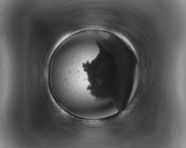 X0000085221007200703091156