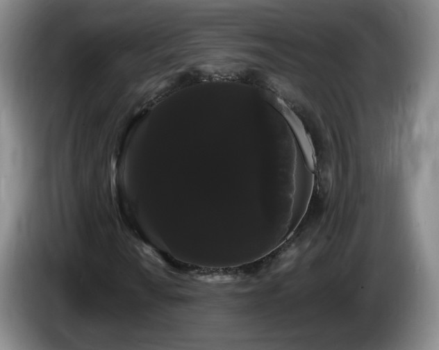 X0000085221010200703091155