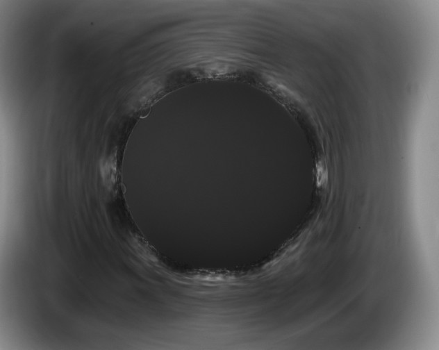 X0000085221011200703091155