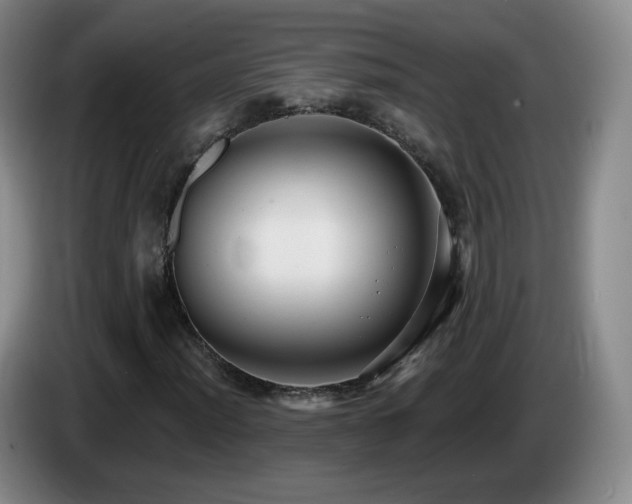 X0000085221012200703091155
