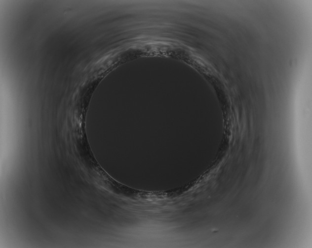 X0000085221013200703091155