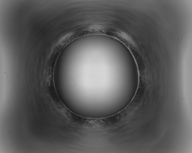 X0000085221015200703091155