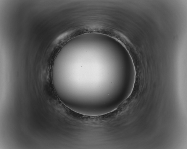 X0000085221016200703091155