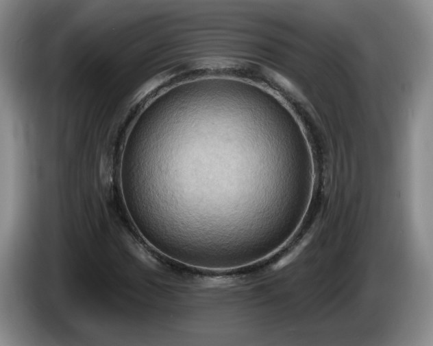 X0000085221017200703091155