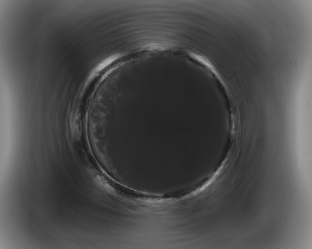 X0000085221018200703091155