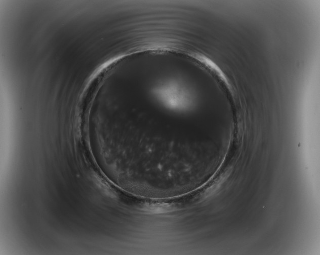 X0000085221019200703091155