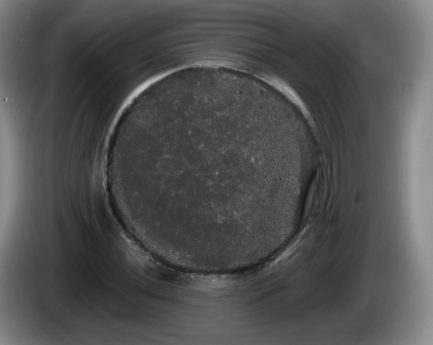 X0000085221020200703091155