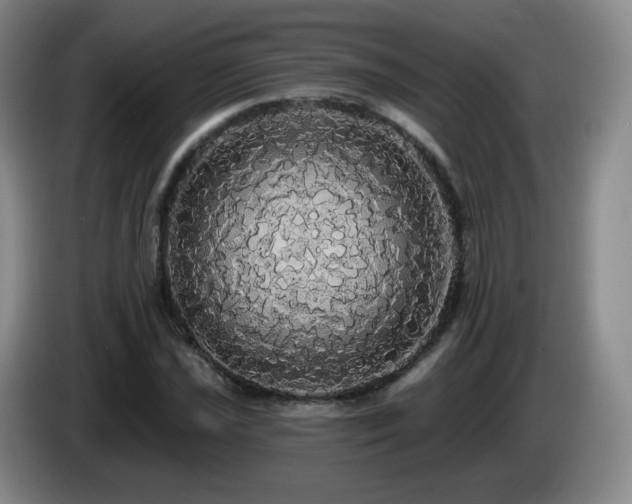 X0000085221021200703091155