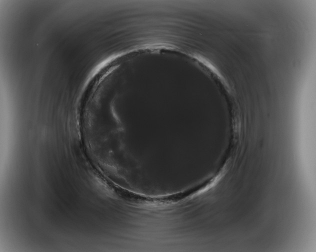 X0000085221022200703091155