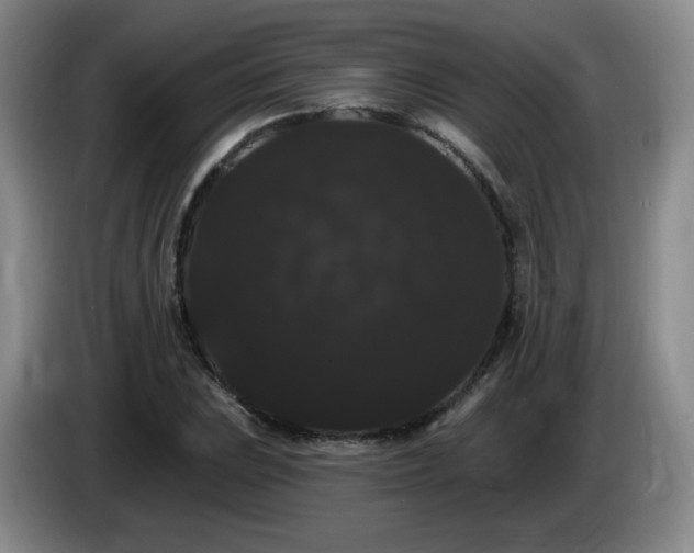 X0000085221023200703091155