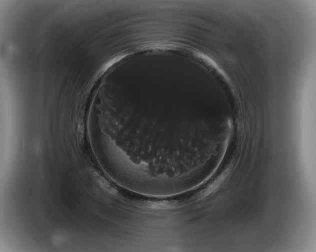 X0000085221025200703091155