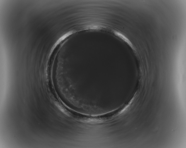 X0000085221026200703091155