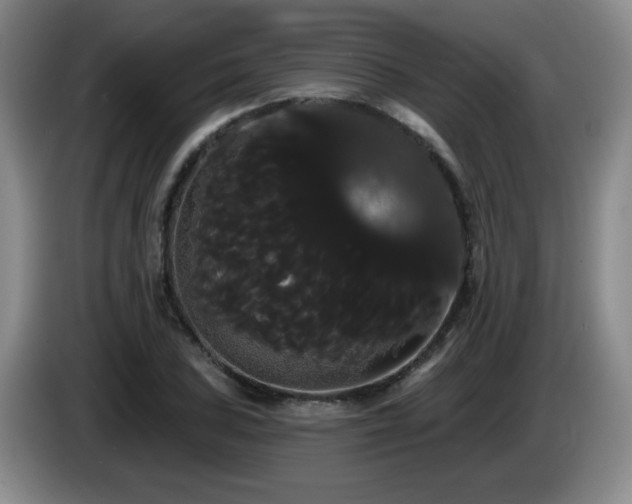 X0000085221027200703091155