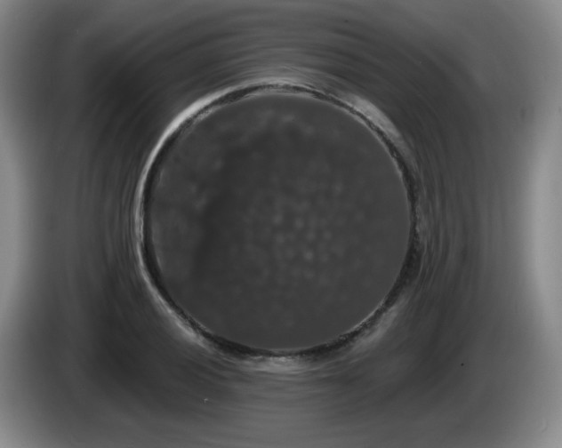 X0000085221028200703091155