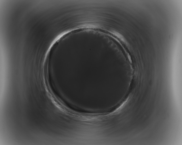X0000085221030200703091155