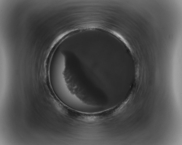 X0000085221031200703091155