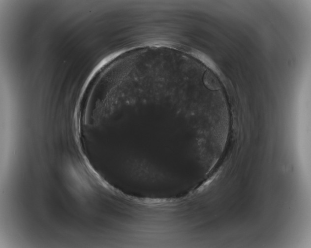 X0000085221032200703091155