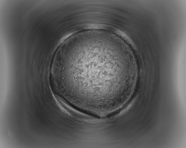 X0000085221033200703091155