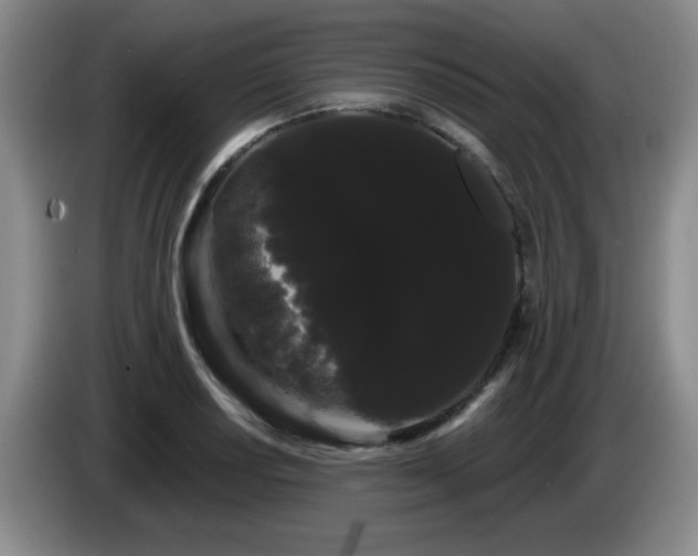X0000085221034200703091155