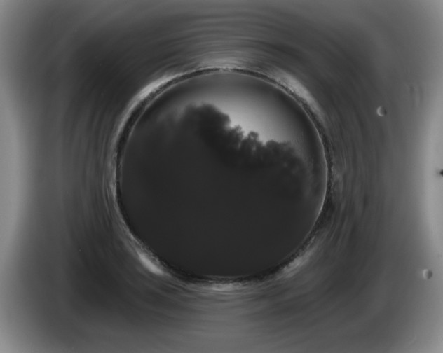 X0000085221035200703091155