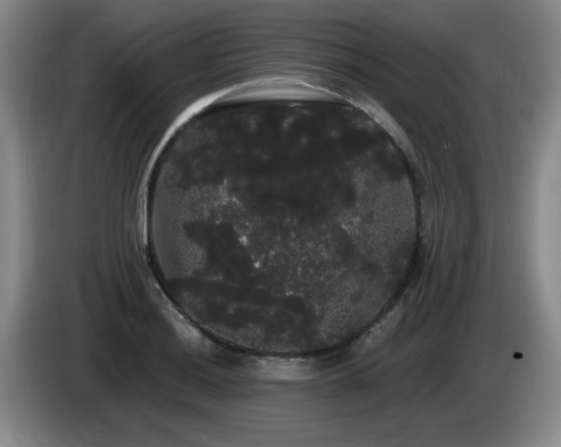 X0000085221036200703091155