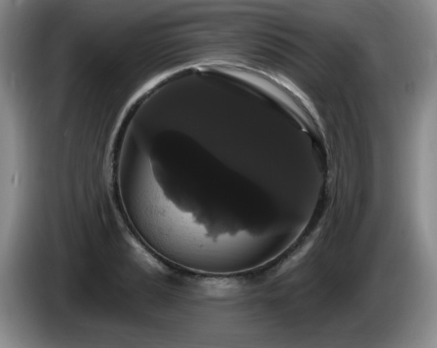 X0000085221037200703091155