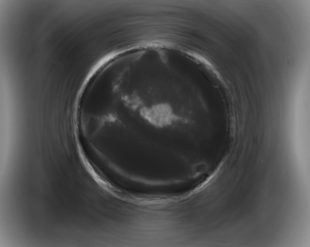 X0000085221038200703091155