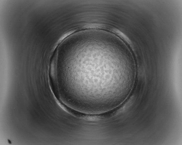 X0000085221041200703091155
