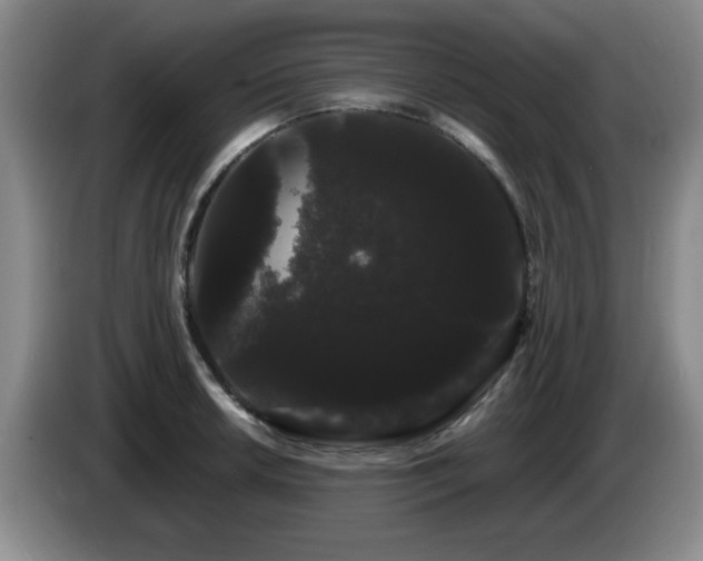 X0000085221042200703091155