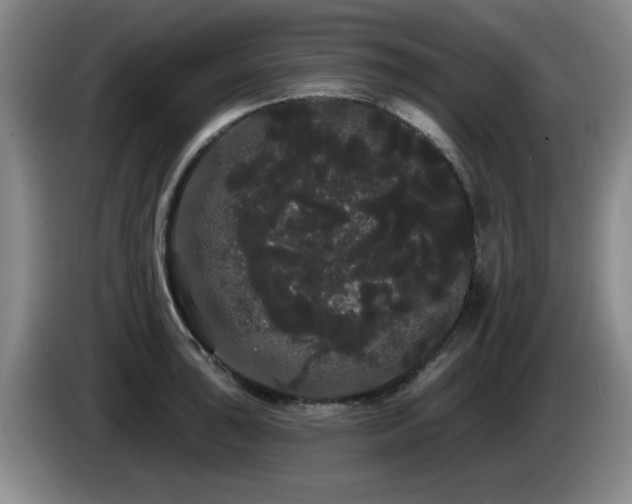 X0000085221043200703091155