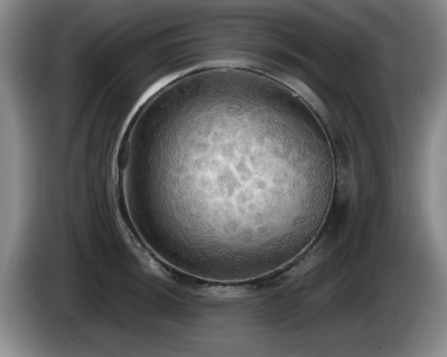 X0000085221044200703091155