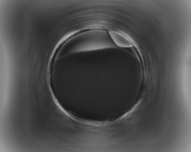 X0000085221045200703091155
