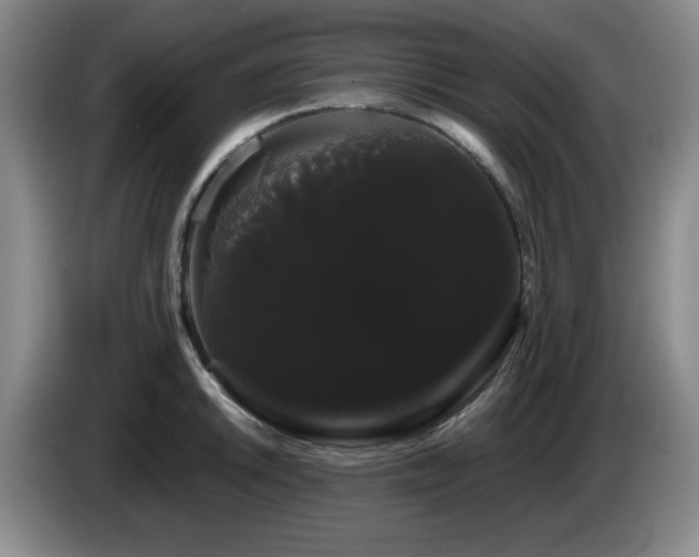 X0000085221046200703091155