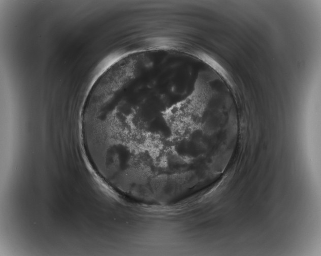 X0000085221047200703091155