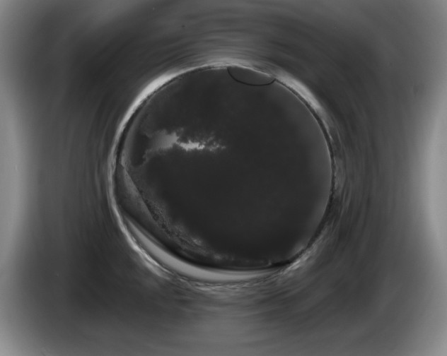 X0000085221048200703091155