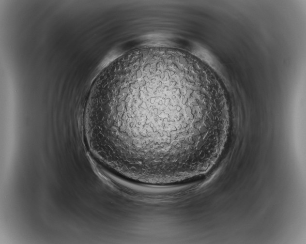 X0000085221049200703091155