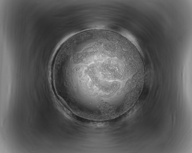 X0000085221051200703091155