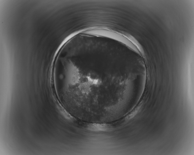 X0000085221052200703091155