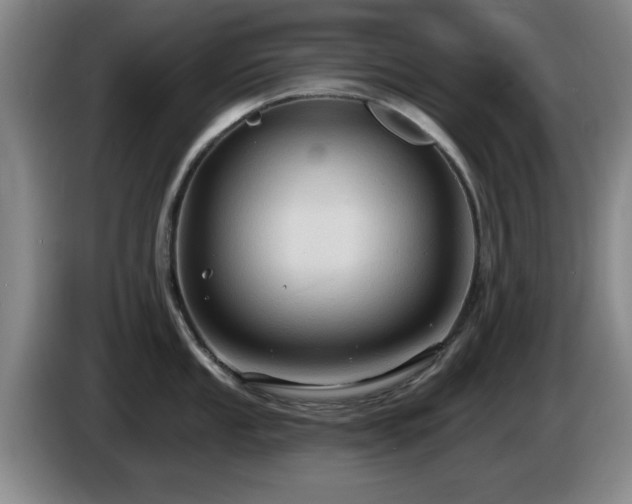 X0000085221053200703091155