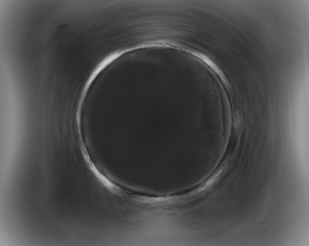 X0000085221054200703091155