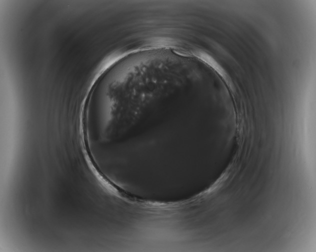 X0000085221055200703091156