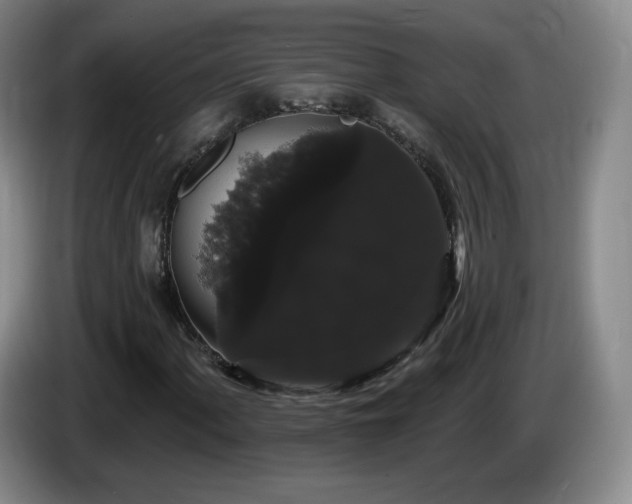 X0000085221060200703091155