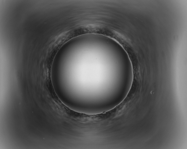 X0000085221061200703091155