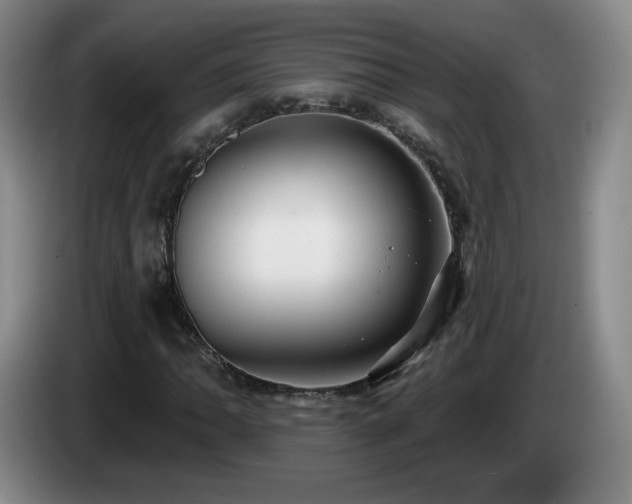 X0000085221062200703091155