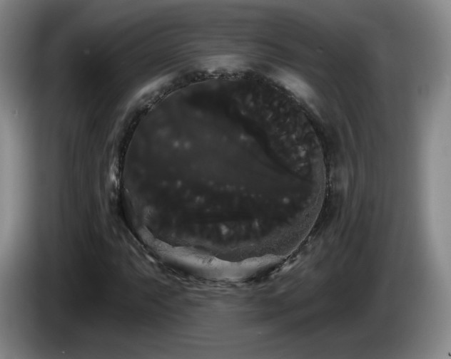X0000085221063200703091155