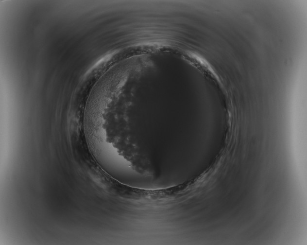 X0000085221064200703091155
